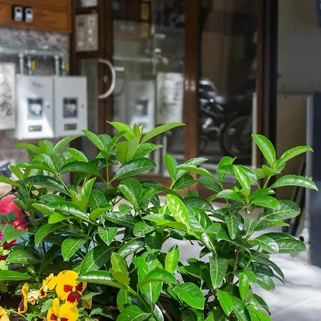 Suggrou Terrace #8 *