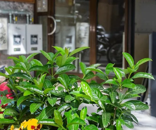 Suggrou Terrace #8 *